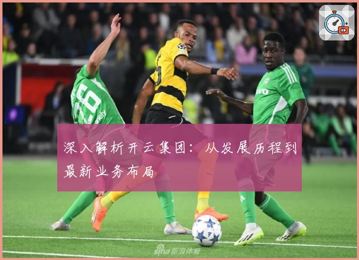 深入解析开云集团：从发展历程到最新业务布局