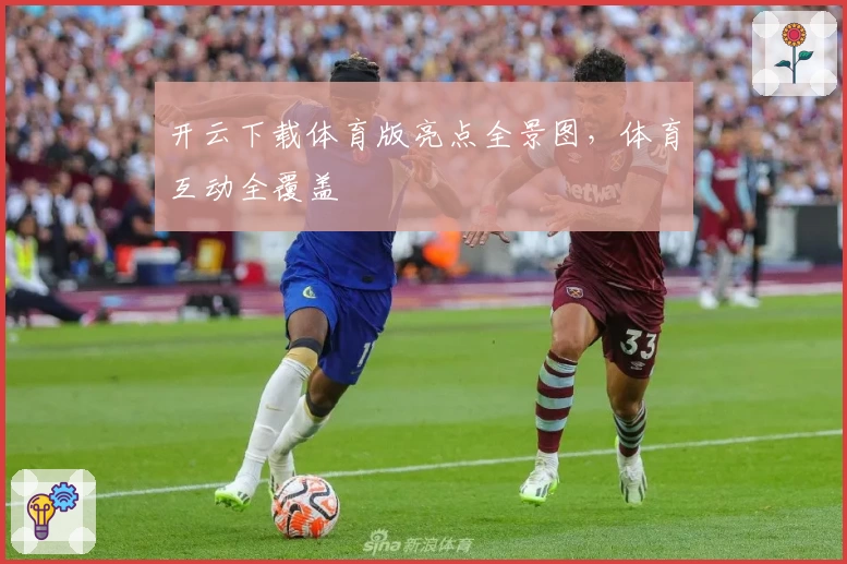 开云下载体育版亮点全景图，体育互动全覆盖