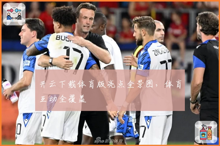 开云下载体育版亮点全景图，体育互动全覆盖