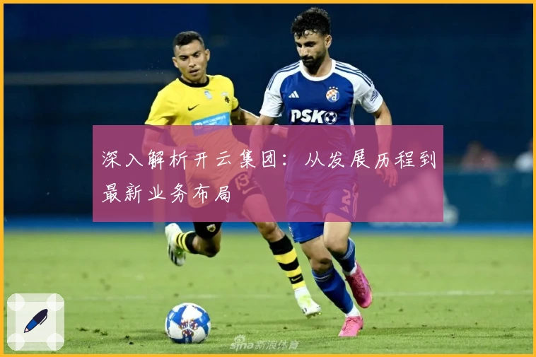 深入解析开云集团：从发展历程到最新业务布局